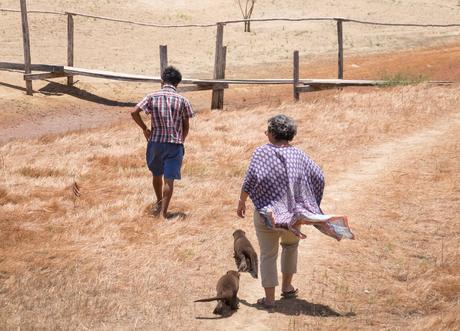 ▷ ¿Qué es realmente como viajar a Guyana? DSCF7399 ▷ ¿Qué es realmente como viajar a Guyana?