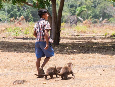 ▷ ¿Qué es realmente como viajar a Guyana? DSCF7385 ▷ ¿Qué es realmente como viajar a Guyana?