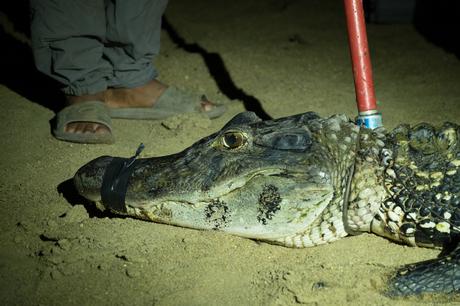 ▷ ¿Qué es realmente como viajar a Guyana? DSCF7304 ▷ ¿Qué es realmente como viajar a Guyana?