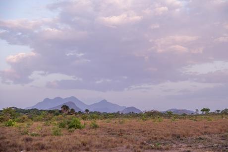 ▷ ¿Qué es realmente como viajar a Guyana? DSCF7607 ▷ ¿Qué es realmente como viajar a Guyana?