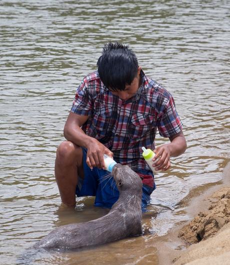 ▷ ¿Qué es realmente como viajar a Guyana? DSCF7419 ▷ ¿Qué es realmente como viajar a Guyana?