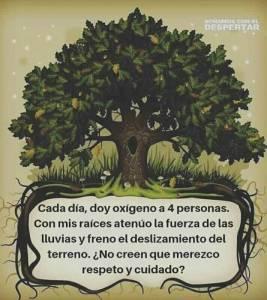 Nuestros bosques