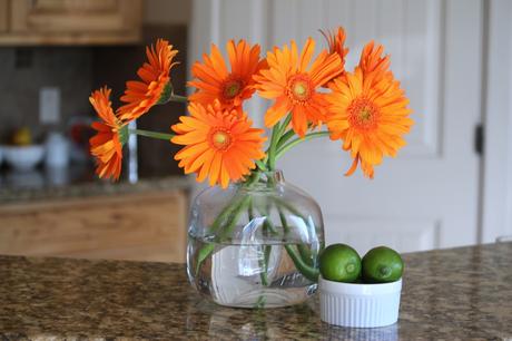 Conoce cuáles plantas ayudan a limpiar el aire de tu hogar.