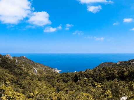 ▷ Qué hacer en Koh Tao (incluyendo consejos de viaje) things-to-do-in-koh-tao-1-min ▷ Qué hacer en Koh Tao (incluyendo consejos de viaje)