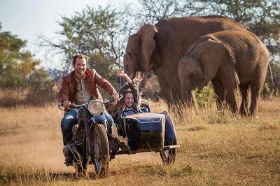 Mia y el león blanco, Llamada emotiva contra el maltrato animal