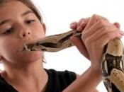 niño aprende tener miedo. Guía ayuda padres hijos miedosos