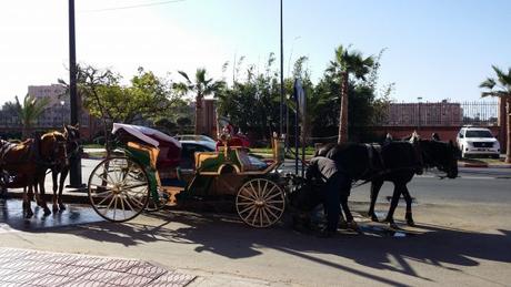 20180326_094137-min-e1553386515405 ▷ Información Útil: Transporte en Marrakech