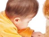 Bebés gatos: ¿pueden convivir?