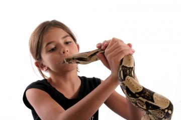 El niño aprende a tener miedo. Guía de ayuda a los padres de hijos miedosos El niño aprende a tener miedo. Guía de ayuda a los padres de hijos miedosos