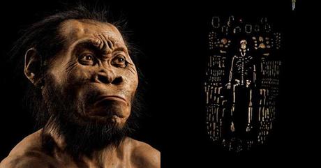 #Ciencia: Descubren una nueva especie #humana que vivió hace 50.000 años