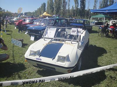 Rarezas en la 10ª edición de Expo Auto Argentino