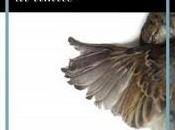 “Introducción límite”, María Alcantarilla