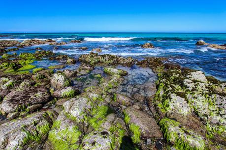 friendly-beaches-freycinet-national-park-tasmania ▷ Comente por qué el Parque Nacional de Freycinet es mi lugar favorito en Tasmania por Tasmania, un destino perfecto para unas vacaciones activas y conscientes. Diario de una cúspide