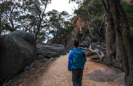 wineglass-bay-freycinet-national-park-tasmania-1 ▷ Comente por qué el Parque Nacional de Freycinet es mi lugar favorito en Tasmania por Tasmania, un destino perfecto para unas vacaciones activas y conscientes. Diario de una cúspide