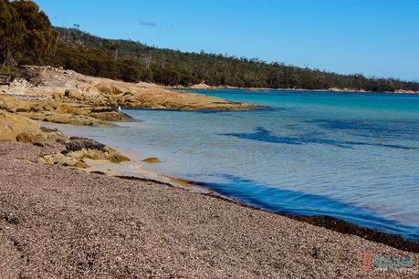 Hazards-Beach-Freycinet-Peninsula-Tasmania-32 ▷ Comente por qué el Parque Nacional de Freycinet es mi lugar favorito en Tasmania por Tasmania, un destino perfecto para unas vacaciones activas y conscientes. Diario de una cúspide