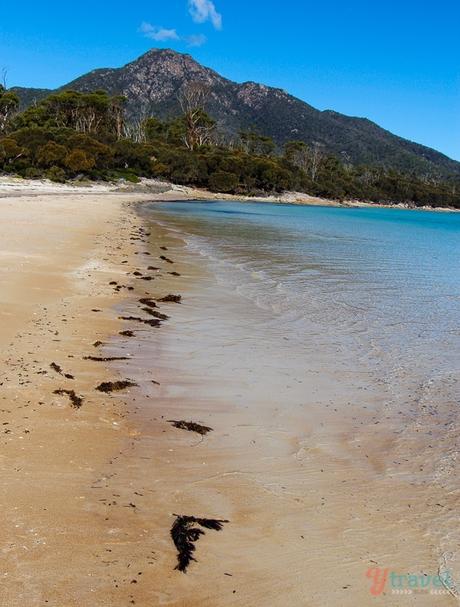 Hazards-Beach-Freycinet-Peninsula-Tasmania-28 ▷ Comente por qué el Parque Nacional de Freycinet es mi lugar favorito en Tasmania por Tasmania, un destino perfecto para unas vacaciones activas y conscientes. Diario de una cúspide