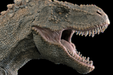 #Paleontologia: Hallan huellas de #dinosaurio en tan buen estado que permiten ver la textura de su piel (FOTO)