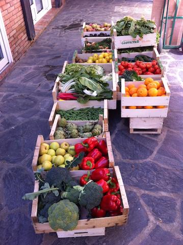 GUÍA DE CAMBIOS SALUDABLES EN ALIMENTACIÓN GUÍA DE CAMBIOS SALUDABLES EN ALIMENTACIÓN