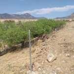 Ciudad Maderas se quiere apoderar de presas del ejido Rodrigo