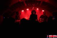 Doble Elefante en El perro de la parte de atrás del coche