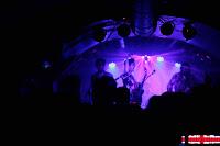 The Royal Flash en El perro de la parte de atrás del coche The Royal Flash en El perro de la parte de atrás del coche