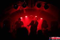 Yhe Hawks en El perro de la parte de atrás del coche The Hawks en El perro de la parte de atrás del coche