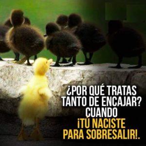 Frases para tu día a día, con imágenes.