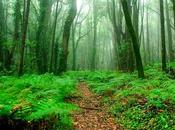 [DOMINICAL] valor añadido matemáticas