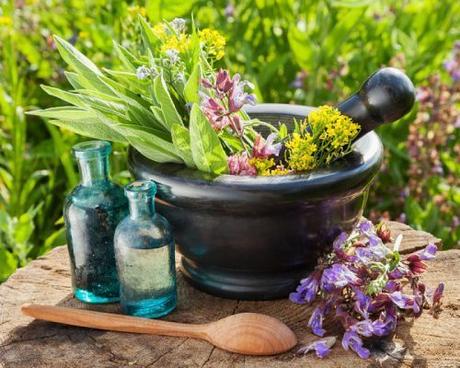 ¿que es la Naturopatía?