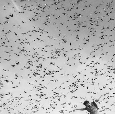 ¿De qué se ríe, Pedro Sánchez, de qué se ríe? (IV)