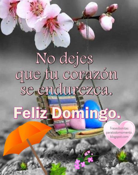 No dejes que tu corazón 💜 se endurezca. ➜Feliz Domingo.