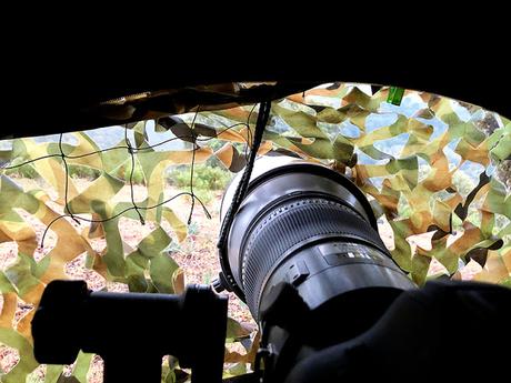 Prueba Canon 400 f 2.8 IS III