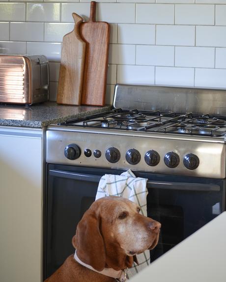 Mi nueva cocina son subway tile y algunos otros cambios