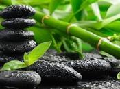 Consulta Naturopatia Online