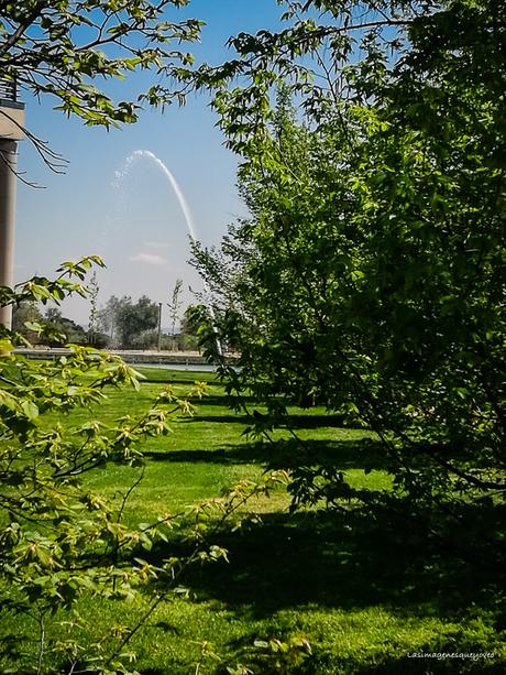 Estufa Fría del parque Juan Carlos I