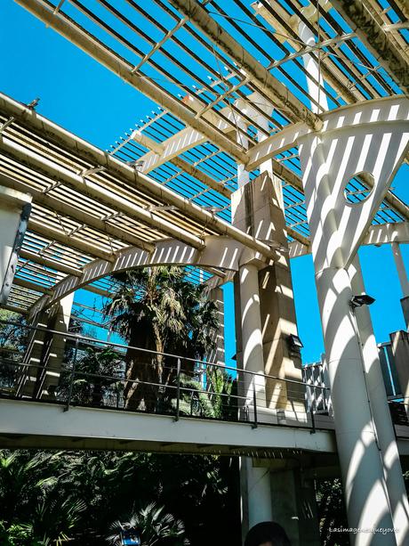 Estufa Fría del parque Juan Carlos I