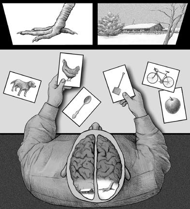 El Pentágono.-experimentos de control mental drogas El Pentágono.-experimentos de control mental drogas