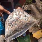 Ayuntamiento impidió entrada de pipa de agua a Parque Morales