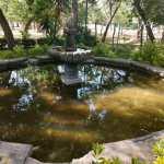 Ayuntamiento impidió entrada de pipa de agua a Parque Morales