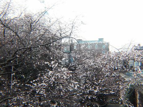 Fin de año en Dublín: Día 1 Fin de año en Dublín: Día 1