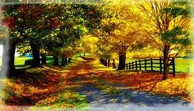 Lo importante de verdad Lo importante de verdad