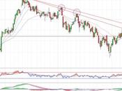 IBEX lucha directrices