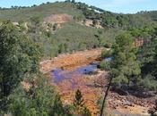 Paseo Tinto