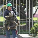 El Instituto Potosino de Bellas Artes retiró plantas de su jardín para poner anuncio