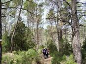 Sendeando titaguas (valencia). sendero felipes, cerrada. pr-cv-455