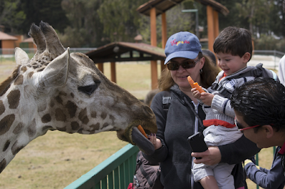PROMUEVE CEPANAF VISITAS A PARQUES ECOLÓGICOS, COMO EL DE ZACANGO, PARA DISFRUTAR LAS VACACIONES EN EDOMÉX