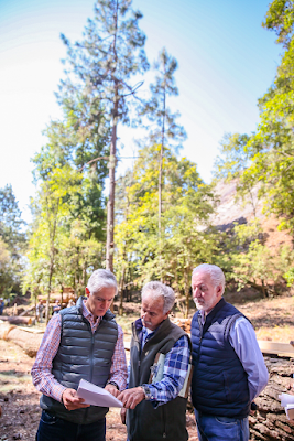IMPULSAN EN EDOMÉX MANEJO SUSTENTABLE DE LOS RECURSOS FORESTALES IMPULSAN EN EDOMÉX MANEJO SUSTENTABLE DE LOS RECURSOS FORESTALES