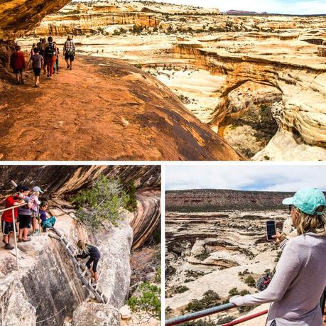 natural-bridges-utah-1 ▷ Semana 19: Valle de los dioses y Moab, Utah