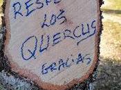 ¿por qué?