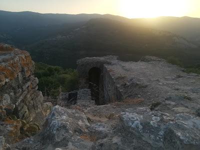 Mi raíces me hunden en la angustia